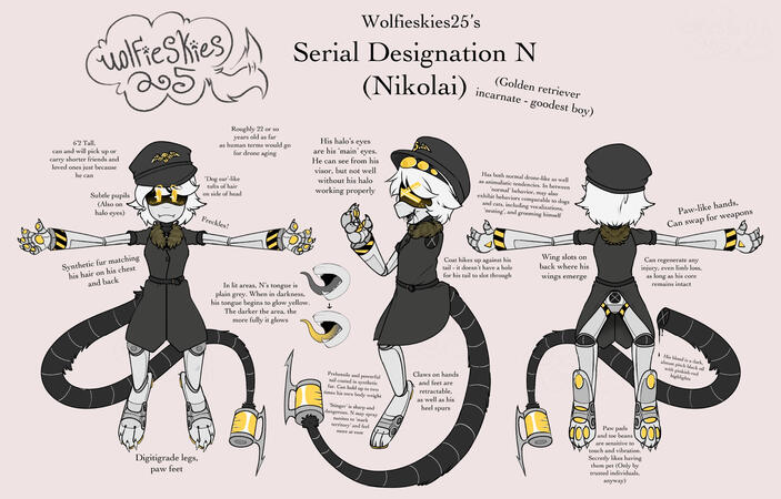 My SD-N Design!